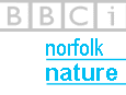 BBCi Norfolk Nature